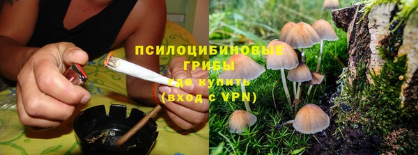 герыч Вяземский